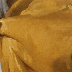 3_6a980b98ef0d0e364ed7837f.jpg