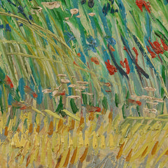 Wheatfield with Partridge by Vincent van Gogh - 4_66489c9abc76b73548b8c9ed