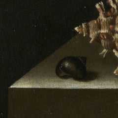 Shells on a Stone Plinth by Adriaen Coorte - 4_66fe86888213847b6f357c3e
