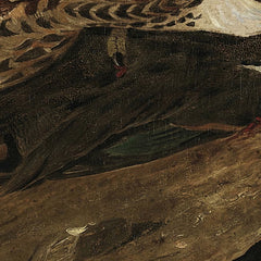 Peregrine Falcons (Duck Hawks) by John James Audubon - 4_671034a5762cab4eff787132