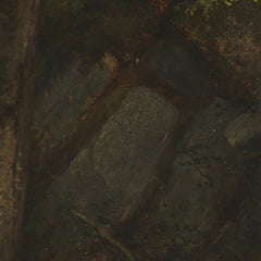 Study of Rocks in Pearson's Ravine by Asher Brown Durand - 4_67392fd7746ff704b89f893b