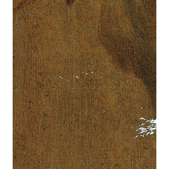 Standing general by Franz Anton Maulbertsch - 4_673caf2e5e0c5e198f5ec5fd