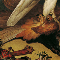 A red kite defeated by Icelandic falcons by Philipp Ferdinand de Hamilton - 4_673cc0165e0c5e198f5ec666