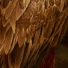 Four Vultures of Different Kind by Philipp Ferdinand de Hamilton - 4_673cc0f15e0c5e198f5ec668