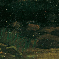 Wallowing Deer on the Shore of a Mountain Lake by Friedrich August Mathias Gauermann - 4_673cc0f25e0c5e198f5ec669