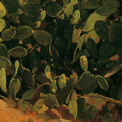 Southern Landscape with Cacti by Thomas Ender - 4_673cda975e0c5e198f5ec6b8