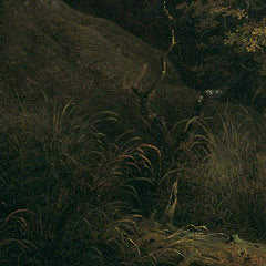 A Vulture on a Dead Deer by Friedrich August Mathias Gauermann - 4_673cdc415e0c5e198f5ec6c4
