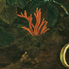 Patch of Grass with Strawberries and Cricket by Franz Michael Siegmund von Purgau the Elder - 4_673cdf3b5e0c5e198f5ec713