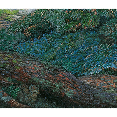 Landscape with Rocks by Karl Mediz - 4_6743830afaa684e1cf4ba6c7