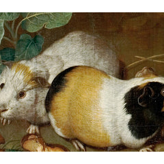 Guinea Fowl with Guinea Pigs by Philipp Ferdinand de Hamilton - 4_6744835dfaa684e1cf4ba74d