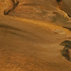 Italian Mountain Landscape with Overgrown Rock, probably near Olevano by Fritz Petzholdt - 4_67673bdab7c995d950164030