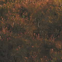Study of a Moor by Frederik Vermehren - 4_67673fa1b7c995d9501640a4