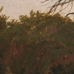 Woodland Scene with a Dead Tree by Hermann Carmiencke - 4_67674005b7c995d9501640b4