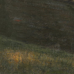 Landscape at Kolding, Jutland, at Sunset by Julius Paulsen - 4_67674a29b7c995d950164139