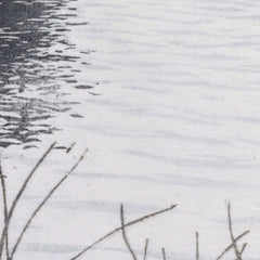 A mountain lake by Hans Frank - 4_6846a9391483fa5b35559006
