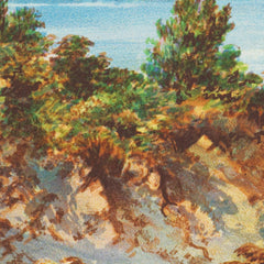New Zealand Graphic and Descriptive. Lake Taupo by Charles Decimus Barraud - 4_6846b1eb1483fa5b355590cc