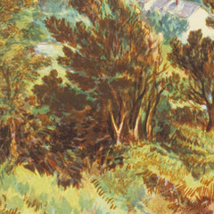 New Zealand Graphic and Descriptive. Nelson. by Charles Decimus Barraud - 4_6846b2af1483fa5b355590d5