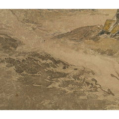 Unfinished study by John Cotman - 4_6846b3f81483fa5b355590f4