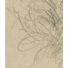 Head of Edwardian woman by Charles Nuttall - 4_6846dba51483fa5b35559198