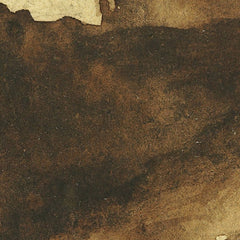 Hermit by Petrus van der Velden - 4_6846ded71483fa5b355591d0