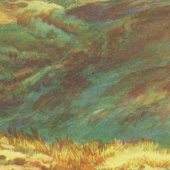 New Zealand Graphic and Descriptive. Mt Egmont by Charles Decimus Barraud - 4_6846df721483fa5b355591d7
