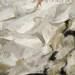 4_69e12500c1725c2331acd956.jpg