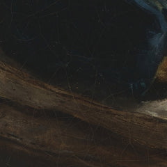 4_69e28395c1725c2331acdb8a.jpg