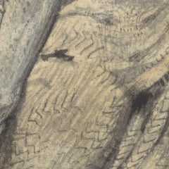 4_69e3867cc1725c2331acdce2.jpg