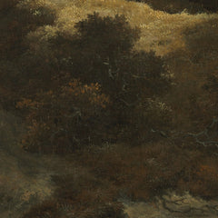 4_69e51225123e4f587a6cdaa7.jpg