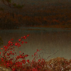 4_6a3e395b54744a3abfcf83dc.jpg