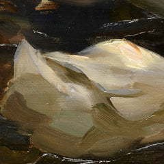 4_6a3ee81054744a3abfcf8431.jpg