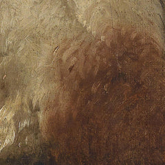 4_6a41175854744a3abfcf84a0.jpg