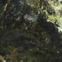 4_6a6a62390570a38b2908637a.jpg