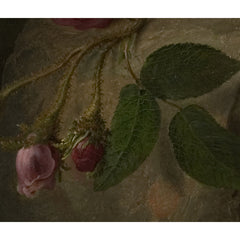 4_6a6cbd1799396138bb2ad056.jpg