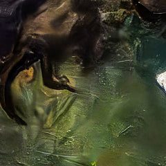4_6a8ed9f6bcc253d8bafc3d4e.jpg