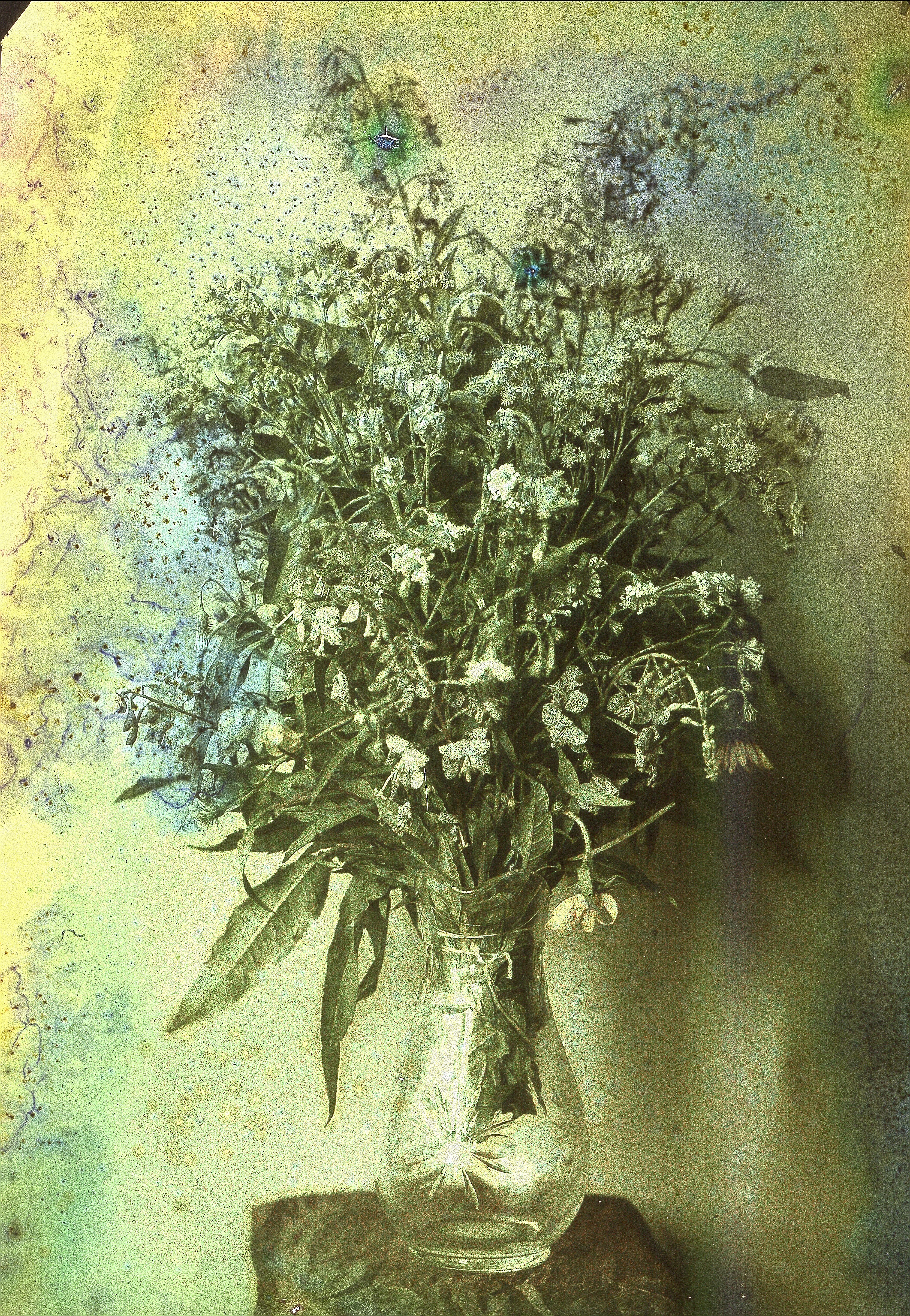Still Life of Flowers by Unknown