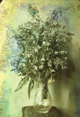 Still Life of Flowers by Unknown