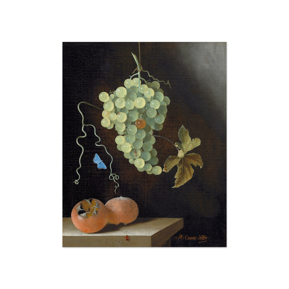 Adriaen Coorte - Still Life with a Hanging Bunch of Grapes Two Medlars and a Butterfly - Compact / Full Bleed