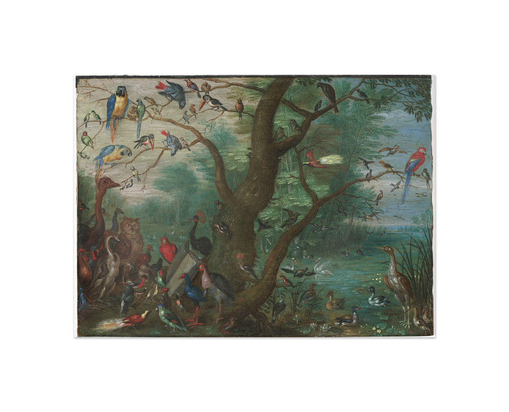Circle of Jan van Kessel the Elder - Concert of Birds - Compact / Full Bleed / No Frame - Poster