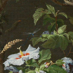 details_abraham-mignon-still-life-with-fruit-fish-and-a-nest_details_2_329c02b8-9b4b-488b-b62e-f0a5f29635f3