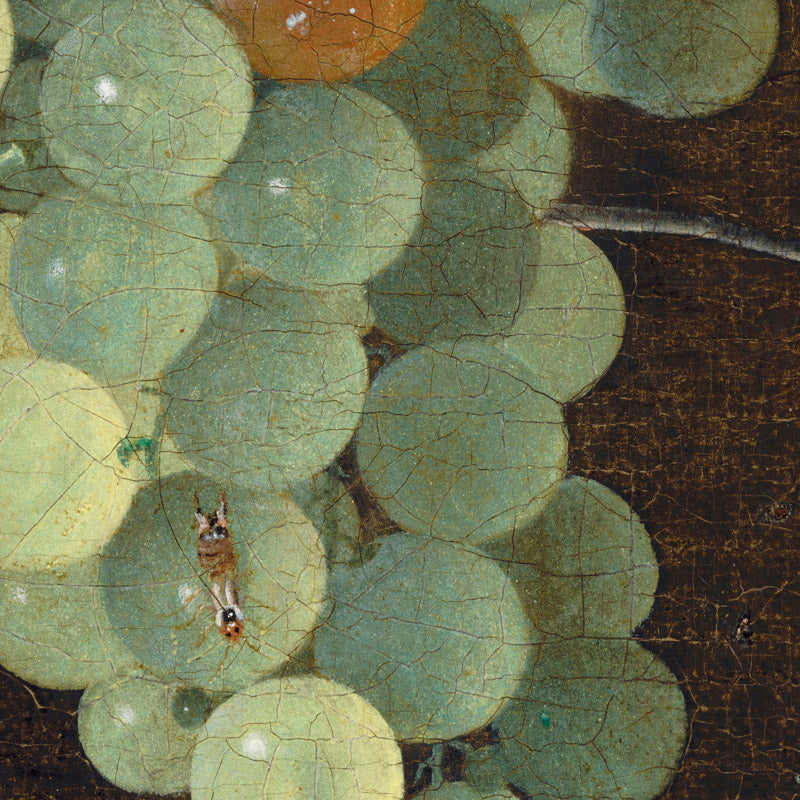 details_adriaen-coorte-still-life-with-a-hanging-bunch-of-grapes-two-medlars-and-a-butterfly_details_0_7c01057f-aa27-40ce-b58f-e2150e6f7500