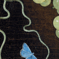 details_adriaen-coorte-still-life-with-a-hanging-bunch-of-grapes-two-medlars-and-a-butterfly_details_1_7c01057f-aa27-40ce-b58f-e2150e6f7500