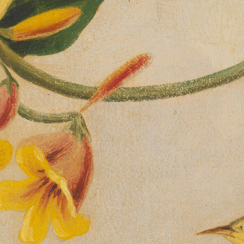 details_joseph-bartholomew-kidd-yellow-warbler_details_0_57e7f269-8bf1-4a10-be6f-89ba956374ce