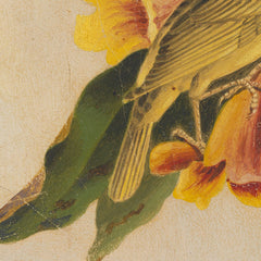 details_joseph-bartholomew-kidd-yellow-warbler_details_1_57e7f269-8bf1-4a10-be6f-89ba956374ce