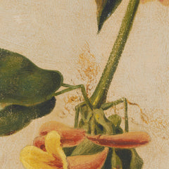 details_joseph-bartholomew-kidd-yellow-warbler_details_2_57e7f269-8bf1-4a10-be6f-89ba956374ce