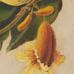 details_joseph-bartholomew-kidd-yellow-warbler_details_3_57e7f269-8bf1-4a10-be6f-89ba956374ce