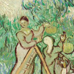 details_vincent-van-gogh-the-olive-orchard_details_0_f07617e8-43ad-4954-8223-4b40dce37061