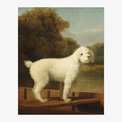 George Stubbs - White Poodle in a Punt - Poster