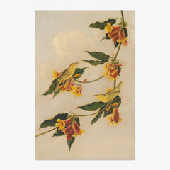 Joseph Bartholomew Kidd after John James Audubon - Yellow Warbler - Poster