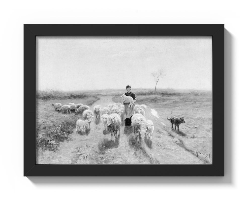 A Shepherdess and Her Flock by Anton Mauve - Compact / Full Bleed / Black Frame